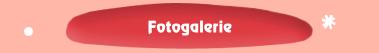 Fotogalerie