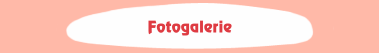 Fotogalerie